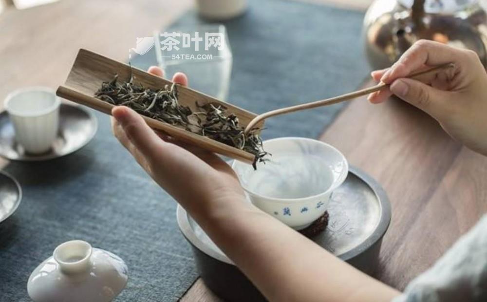 盼望着，盼望着，春白茶悄悄的来了-茶叶网(图7)