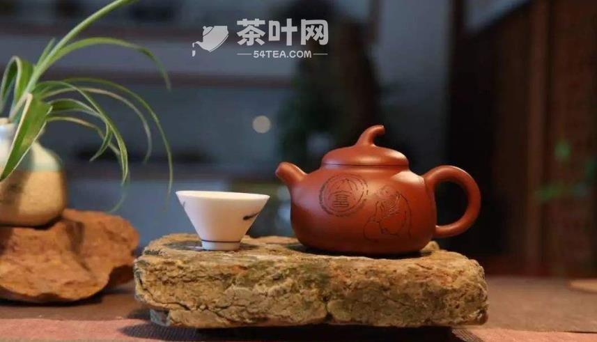 茶的别名-茶叶网(图7)