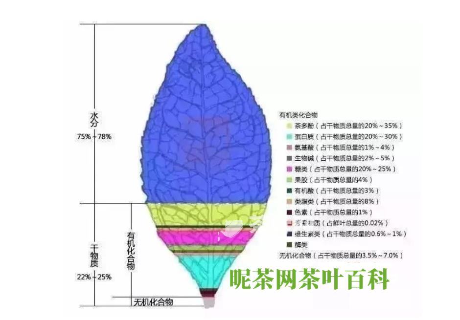 茶的介绍-茶叶网(图15)