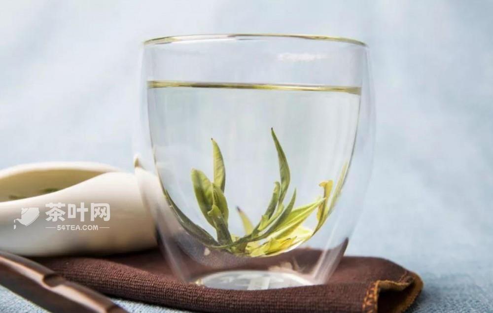 茶的介绍-茶叶网(图4)