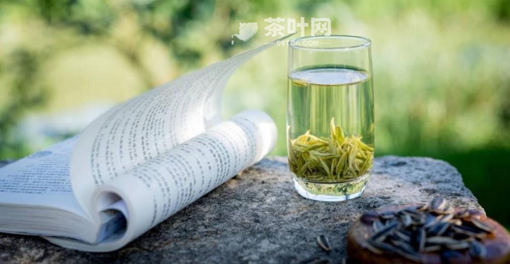 你喜欢喝的茶，暴露了你的性格，看看你是哪种茶-茶叶网(图2)