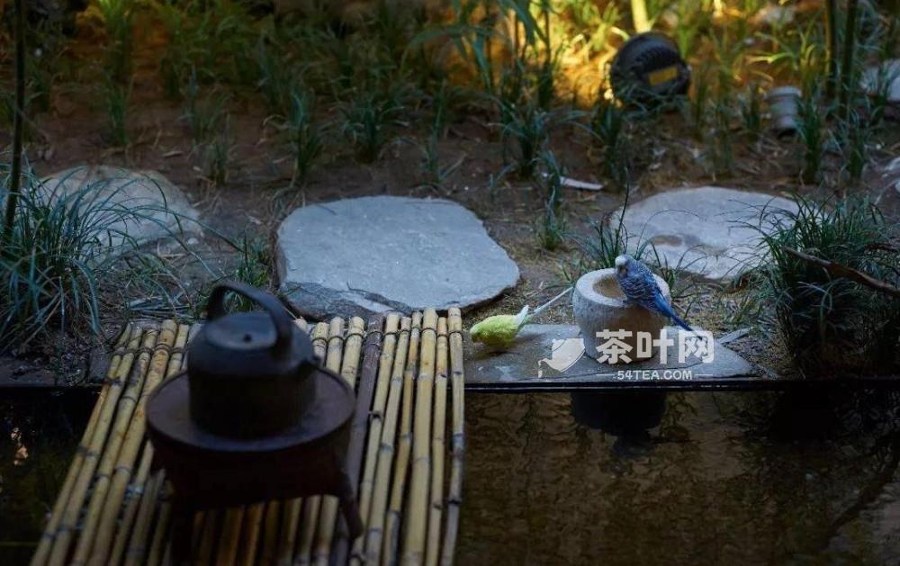 喝茶的5种智慧，送给爱茶的你-茶叶网(图7)