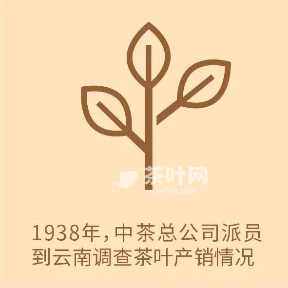 一分钟秒懂中茶与大益的发展-茶叶网(图3)