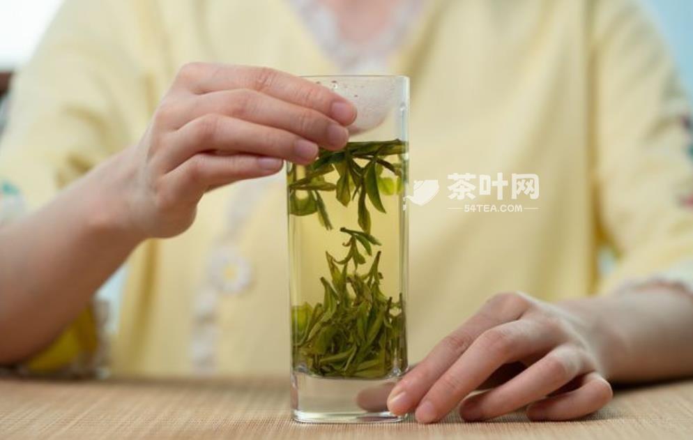 龙井茶的文化与传承-茶叶网(图11)