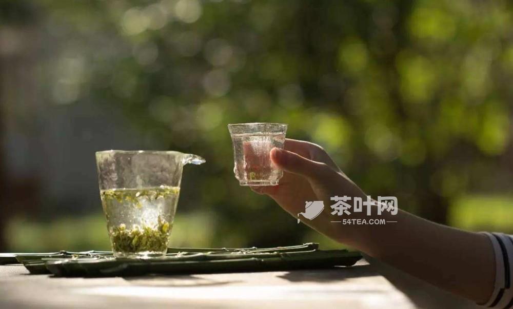 茶有风情万种，正如人生百态，终究苦后回甘-茶叶网(图3)