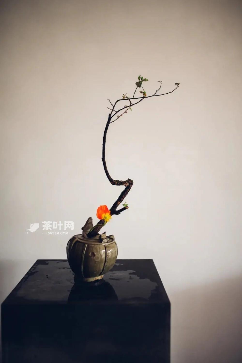 茶室插花六大讲究，瞬间提升喝茶格调-茶叶网(图3)