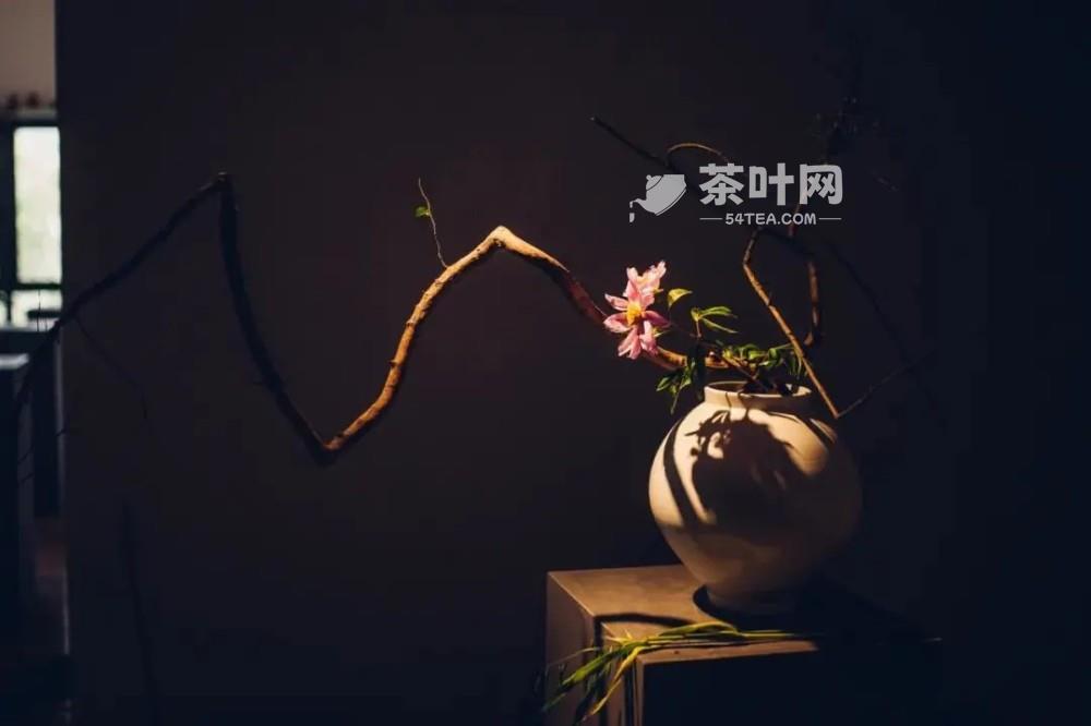 茶室插花六大讲究，瞬间提升喝茶格调-茶叶网(图5)