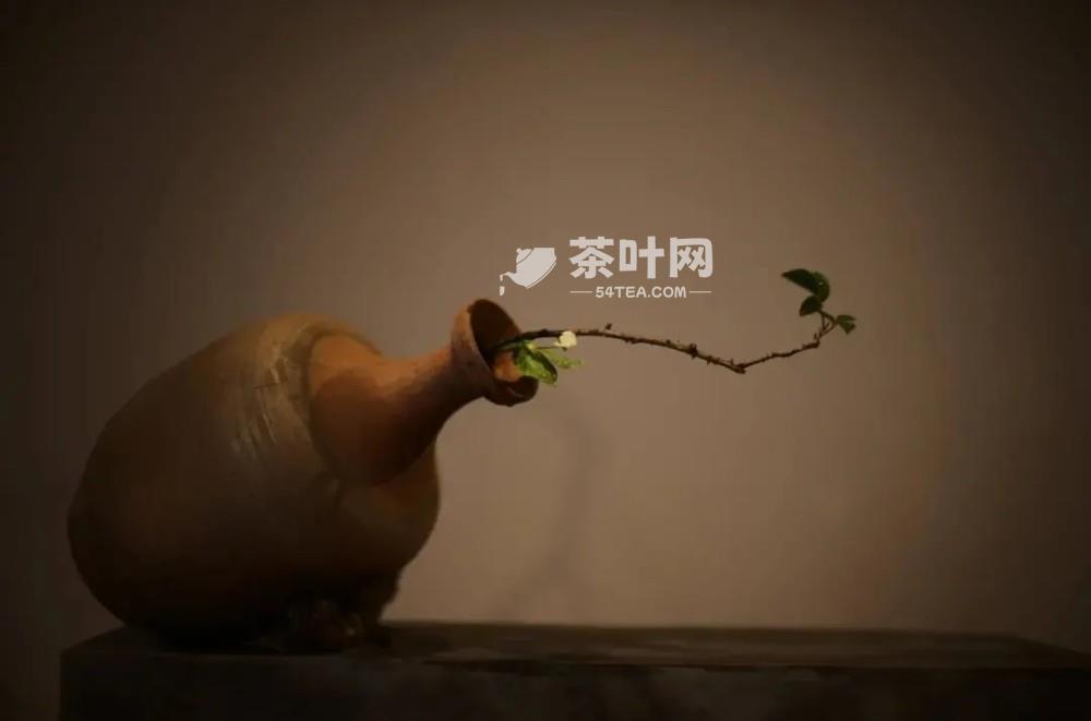 茶室插花六大讲究，瞬间提升喝茶格调-茶叶网(图6)