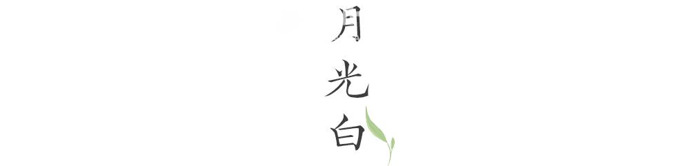 路过人间烟火，茶，便有了芳名-茶叶网(图11)