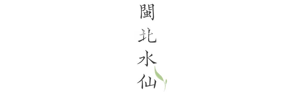 路过人间烟火，茶，便有了芳名-茶叶网(图8)