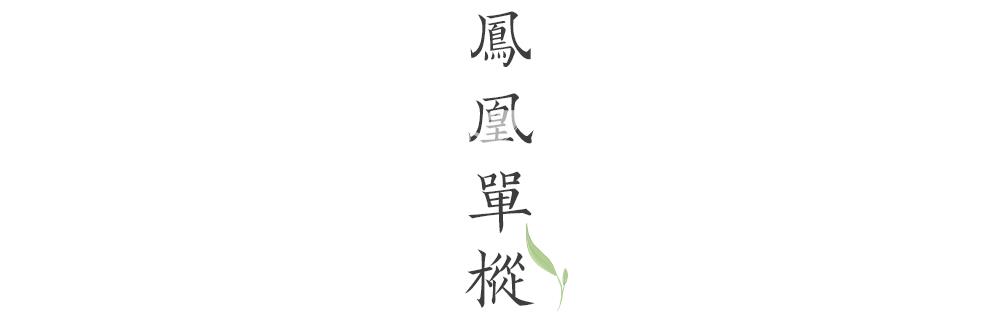 路过人间烟火，茶，便有了芳名-茶叶网(图9)