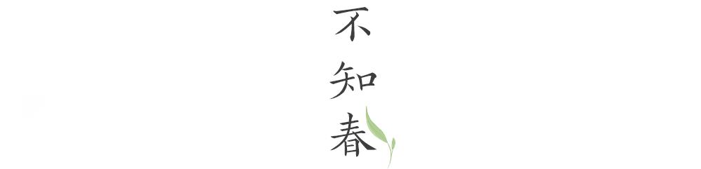 路过人间烟火，茶，便有了芳名-茶叶网(图4)