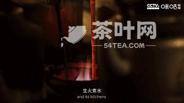 一片树叶里的大故事，BBC镜头下的中国茶-茶叶网(图15)