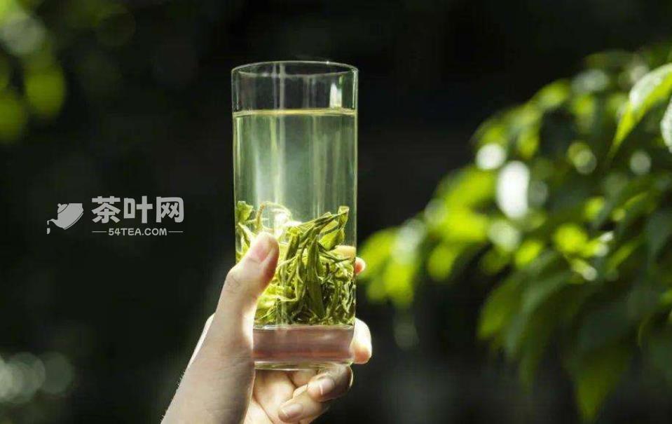 关于茶的诗句，沉醉在茶的字里行间-茶叶网(图7)