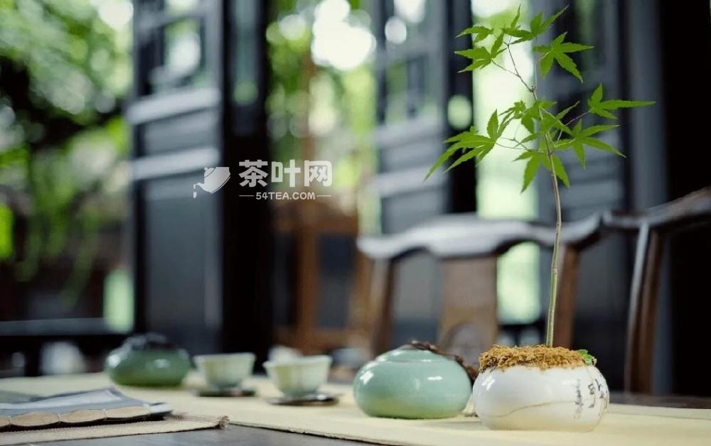 关于茶的诗句，沉醉在茶的字里行间-茶叶网(图1)