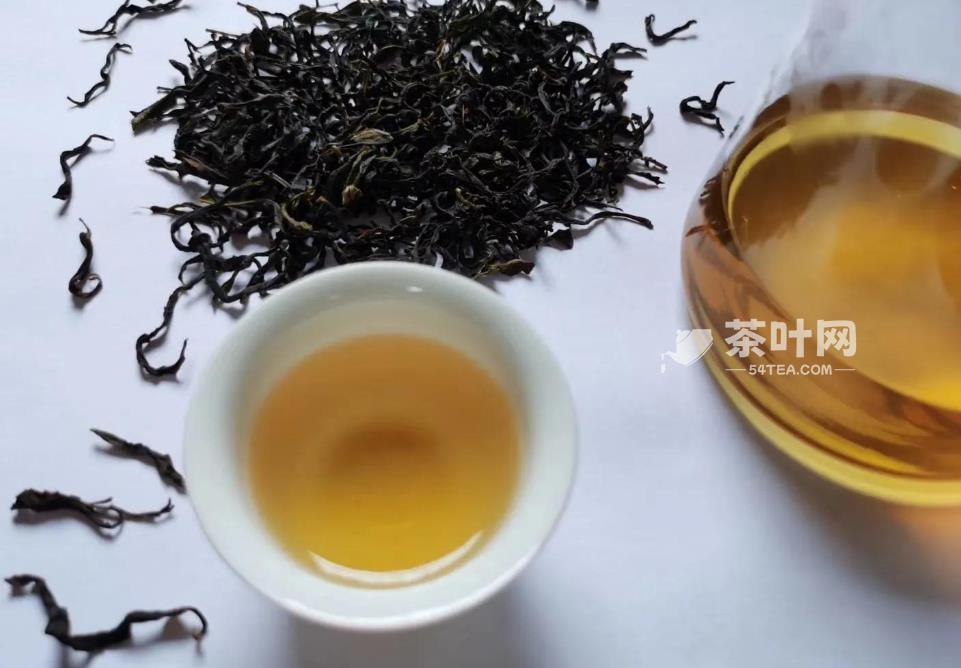 北回归线上的“茶中香水”，从“出生”就赢在了起跑线上-茶叶网(图4)