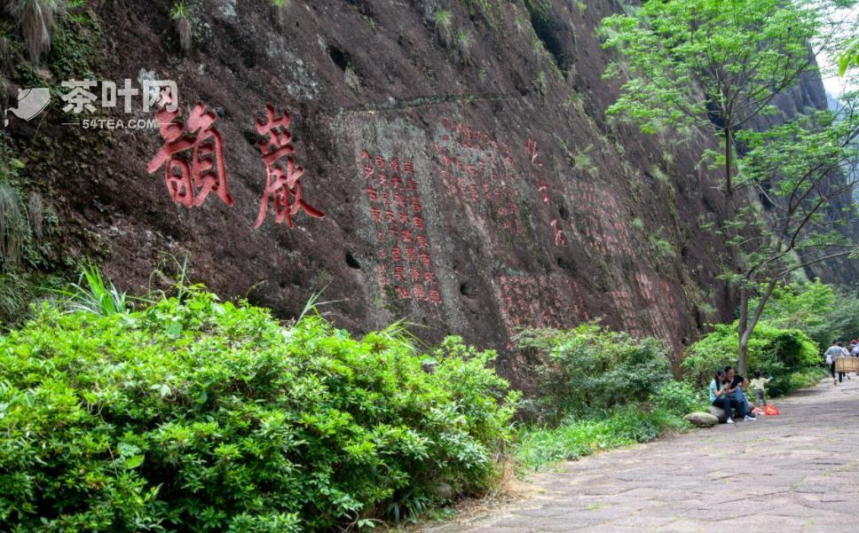 在宋代苏东坡的诗里，茶叶竟有这些妙用-茶叶网(图4)