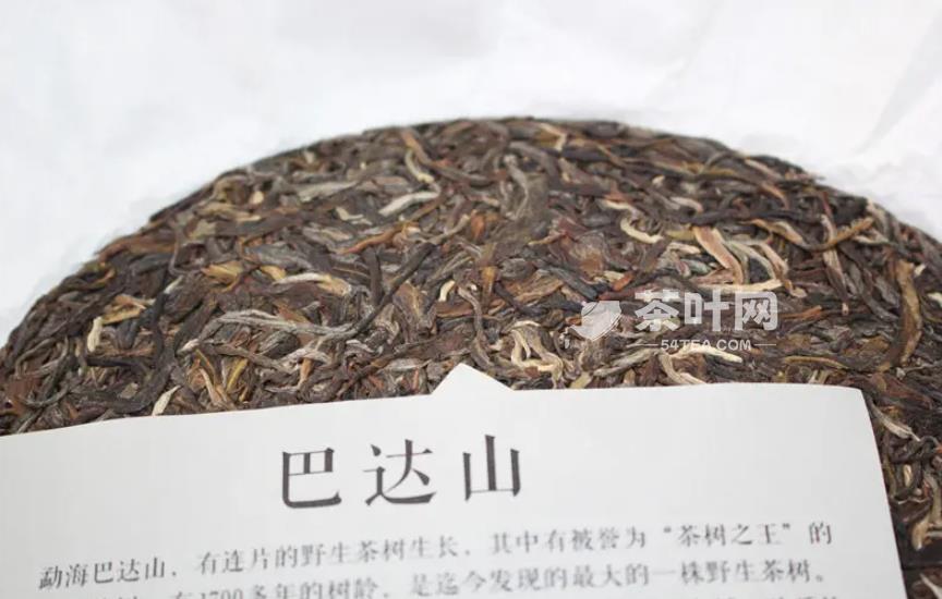 细说巴达山古树茶王，1700多年树龄实为罕见-茶叶网(图4)