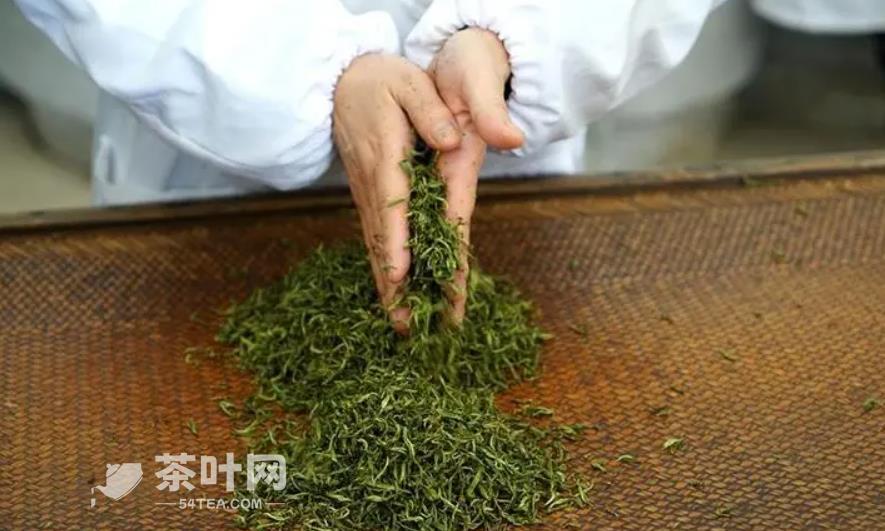 非遗中国茶 | 绿茶制作技艺之雨花茶制作技艺-茶叶网(图7)