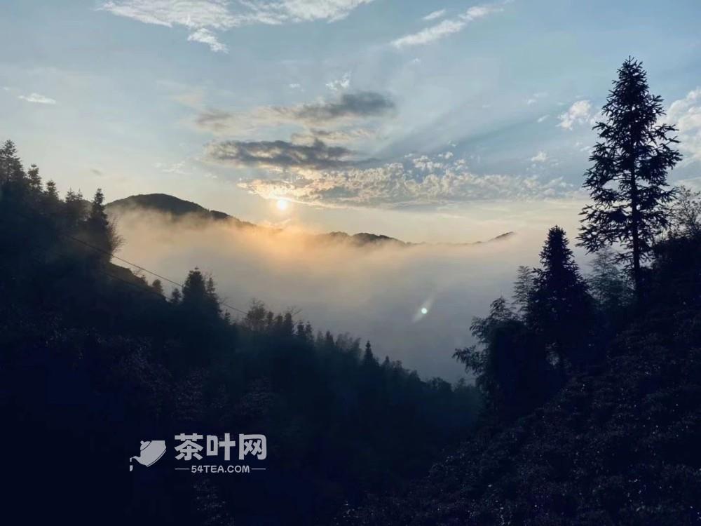 十大不可错过的茶旅胜地，你去过几个-茶叶网(图6)