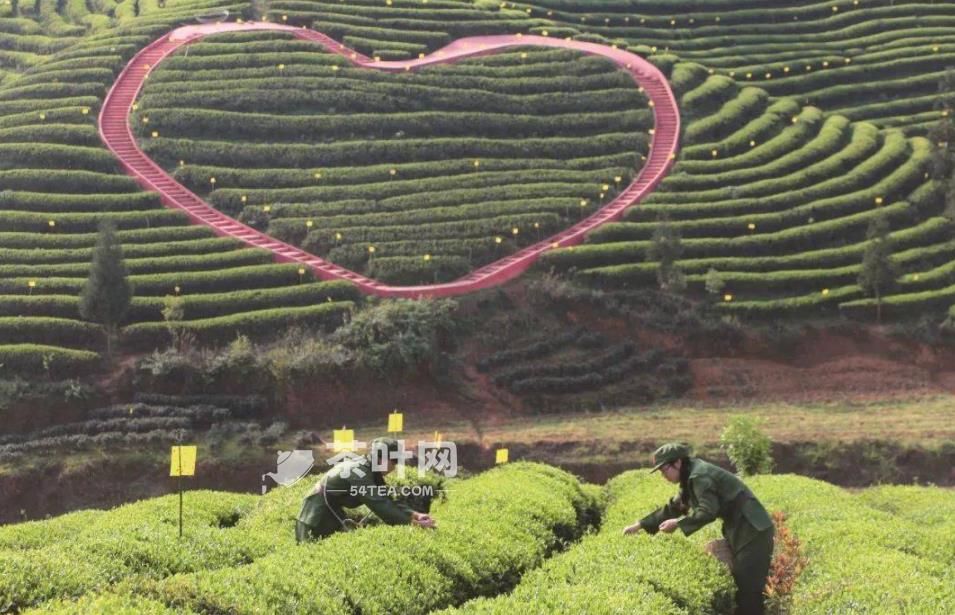 十大不可错过的茶旅胜地，你去过几个-茶叶网(图2)