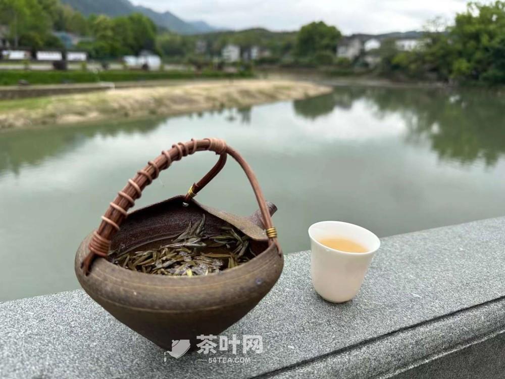 茶文 | 珍惜当下，就是简单的幸福-茶叶网(图6)