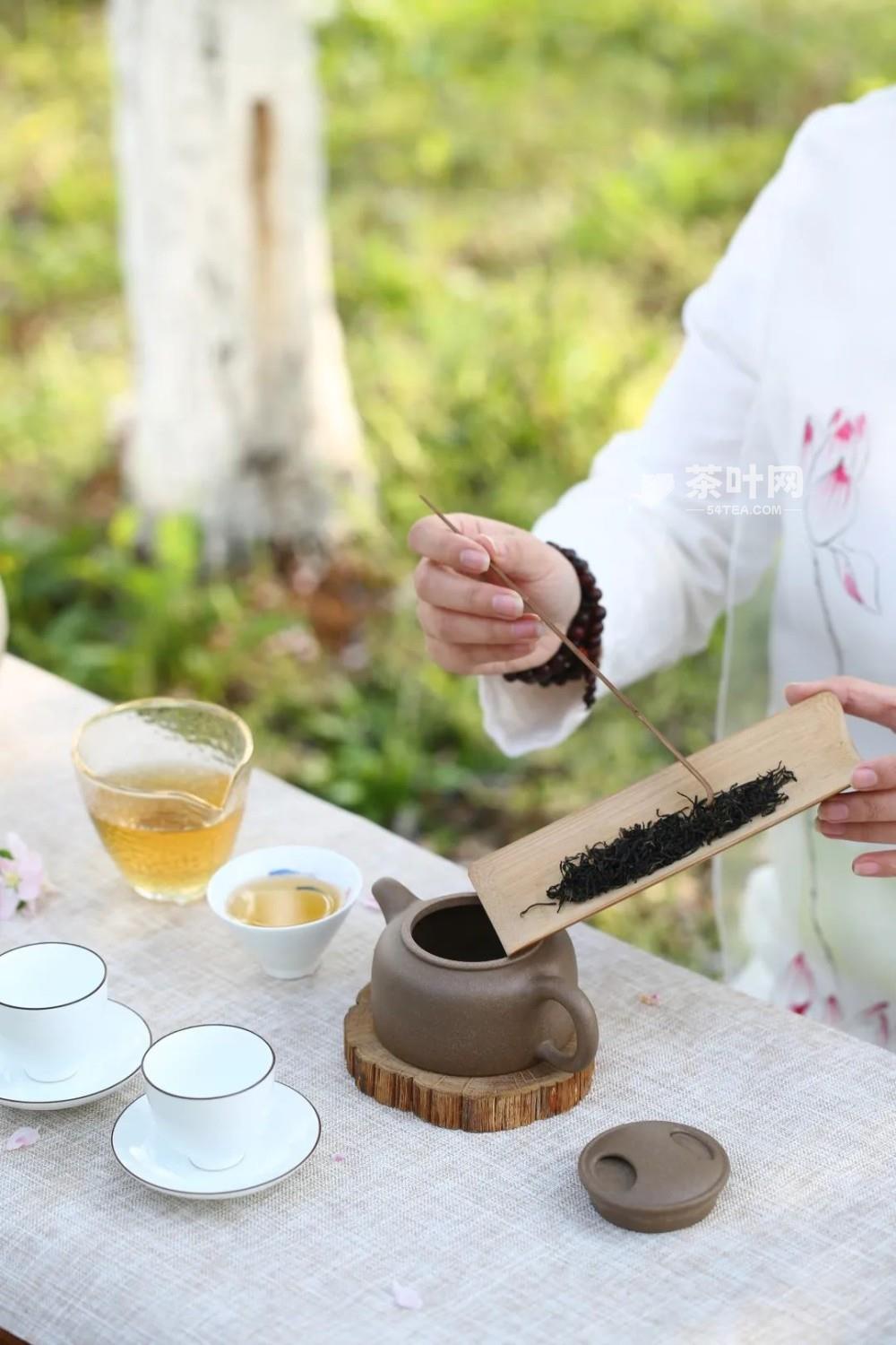 劳动节 | 这个五一，给自己沏上一壶好茶-茶叶网(图1)