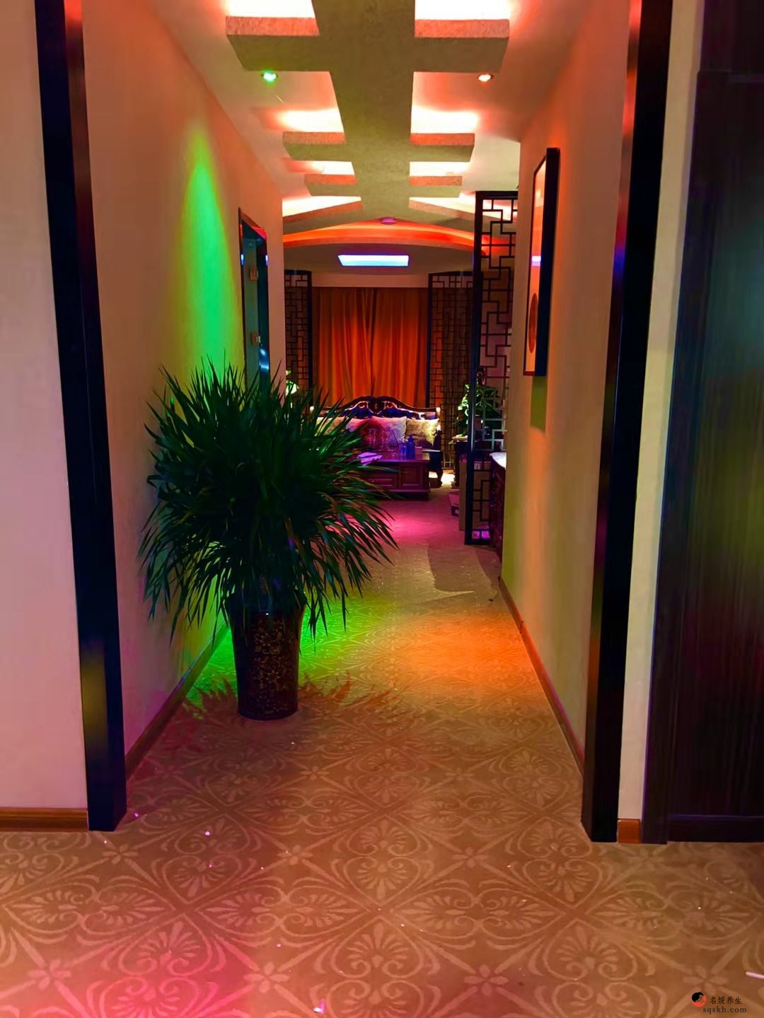 福州送仙桥浪漫樱花论坛,一次心灵深处的相遇_福州养生品茶网(图2)